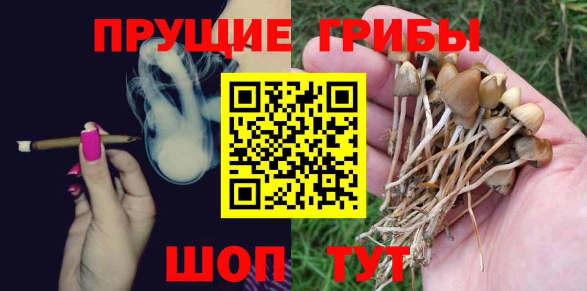 Бахчисарай  Псилоцибиновые грибы GOLDEN TEACHER  Псилоцибиновые грибы Magic Shrooms  Вход с VPN 